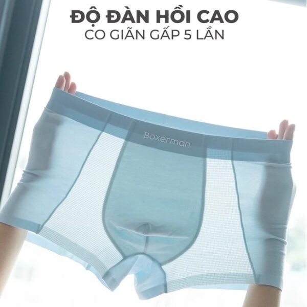 Quần boxer nam thun lạnh cao cấp PROMESH/green co giãn thoải mái thoáng mát khử mùi kháng khuẩn BOXERMAN